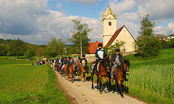 Pferdewallfahrt in Neudenau